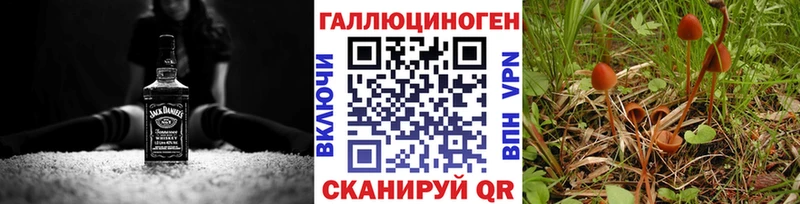 Псилоцибиновые грибы Psilocybine cubensis закладки Ветлуга